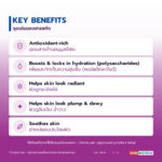 DENDROLUME สารสกัดดอกกล้วยไม้ชนิดผง อุดมพอลิแซ็กคาไรด์และแอนโทไซยานิน (Dendrobium Flower Extract Powder)