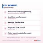 สารสกัดดอกบัวขาวชนิดน้ำ อุดมโพลีฟีนอล (White Lotus Extract)