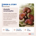 ผงสารสกัดเห็ดหลินจือ อุดมกาโนเดอริกแอซิดและเบต้ากลูแคน (Reishi Extract)