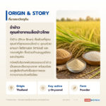 ผงรำข้าวบดละเอียด อุดมแกมมา-โอรีซานอลและวิตามินอี (Rice Bran Powder)