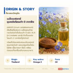 น้ำมันเมล็ดแฟลกซ์ อุดมโอเมก้า-3 (ALA) (Flaxseed / Linseed Oil, Linum usitatissimum)
