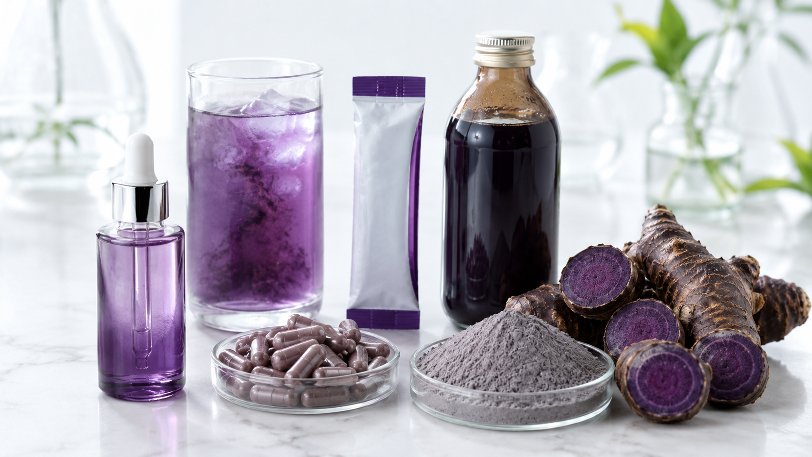 ผงสารสกัดกระชายดำละลายน้ำ อุดม PMF และแอนโทไซยานิน (Black Galingale Water-Soluble / Kaempferia parviflora)