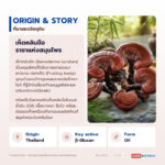 น้ำมันเห็ดหลินจือ อุดมเบต้ากลูแคนและพอลิแซ็กคาไรด์ (Reishi Oil / Ganoderma lucidum, β-Glucan NLT 20%)