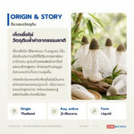 Bamboo Fungus Extracts (Liquid) สารสกัดเห็ดเยื่อไผ่ (ของเหลว)