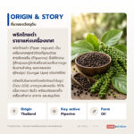 น้ำมันพริกไทยดำ พิเพอรีนมาตรฐาน 95% (Black Pepper Oil)