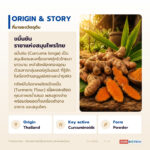 แป้งขมิ้นแท้ วัตถุดิบขมิ้นชันอเนกประสงค์ (Turmeric Flour / Curcuma longa)
