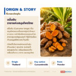 ผงขมิ้นชันแท้ อุดมเคอร์คูมินอยด์ (Turmeric Root Powder / Curcuma longa)