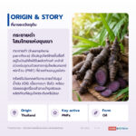 น้ำมันกระชายดำ อุดมโพลีเมทอกซีฟลาโวน (Black Galingale Oil)