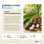 น้ำมันเมล็ดยางพารา อุดมโอเมก้า 3 & 6 (Para Rubber Seed Oil)