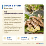 น้ำมันหอมระเหยไพล อุดมเทอร์พิเนน-4-ออล (Plai Oil)