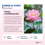 สารสกัดบัวชมพู Pink Lotus Extract
