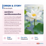 สารสกัดดอกบัวขาวชนิดน้ำ อุดมโพลีฟีนอล (White Lotus Extract)
