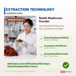 ผงสารสกัดเห็ดหลินจือ อุดมกาโนเดอริกแอซิดและเบต้ากลูแคน (Reishi Extract)