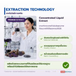 Concentrated Black Galingale Extract (Liquid) - Image 5