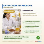 น้ำมันเมล็ดแฟลกซ์ อุดมโอเมก้า-3 (ALA) (Flaxseed / Linseed Oil, Linum usitatissimum)