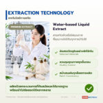 Bamboo Fungus Extracts (Liquid) สารสกัดเห็ดเยื่อไผ่ (ของเหลว)
