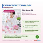 น้ำมันบัวชมพู อุดมแอนโทไซยานิน (Pink Lotus Oil / Nelumbo Flower Oil, Anthocyanins NLT 3%)