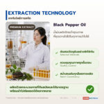 น้ำมันพริกไทยดำ พิเพอรีนมาตรฐาน 95% (Black Pepper Oil)