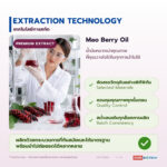 น้ำมันหมากเม่า อุดมแอนโทไซยานิน (Mao Berry Oil)