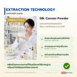 ผงสารสกัดรังไหม อุดมโปรตีนเซริซินและกรดอะมิโนจากไหม (Silk Cocoon Extract)