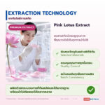 PINK LOTUS EXTRACT (POWDER)
