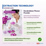 DENDROLUME สารสกัดดอกกล้วยไม้ชนิดผง อุดมพอลิแซ็กคาไรด์และแอนโทไซยานิน (Dendrobium Flower Extract Powder)