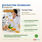แป้งขมิ้นแท้ วัตถุดิบขมิ้นชันอเนกประสงค์ (Turmeric Flour / Curcuma longa)