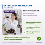 น้ำมันกระชายดำ อุดมโพลีเมทอกซีฟลาโวน (Black Galingale Oil)