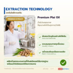 น้ำมันหอมระเหยไพล อุดมเทอร์พิเนน-4-ออล (Plai Oil)