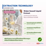 สารสกัดดอกบัวขาวชนิดน้ำ อุดมโพลีฟีนอล (White Lotus Extract)