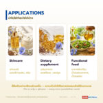 น้ำมันเมล็ดแฟลกซ์ อุดมโอเมก้า-3 (ALA) (Flaxseed / Linseed Oil, Linum usitatissimum)