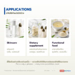 Bamboo Fungus Extracts (Liquid) สารสกัดเห็ดเยื่อไผ่ (ของเหลว)
