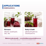 น้ำมันหมากเม่า อุดมแอนโทไซยานิน (Mao Berry Oil)