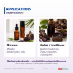 น้ำมันกระชายดำ อุดมโพลีเมทอกซีฟลาโวน (Black Galingale Oil)