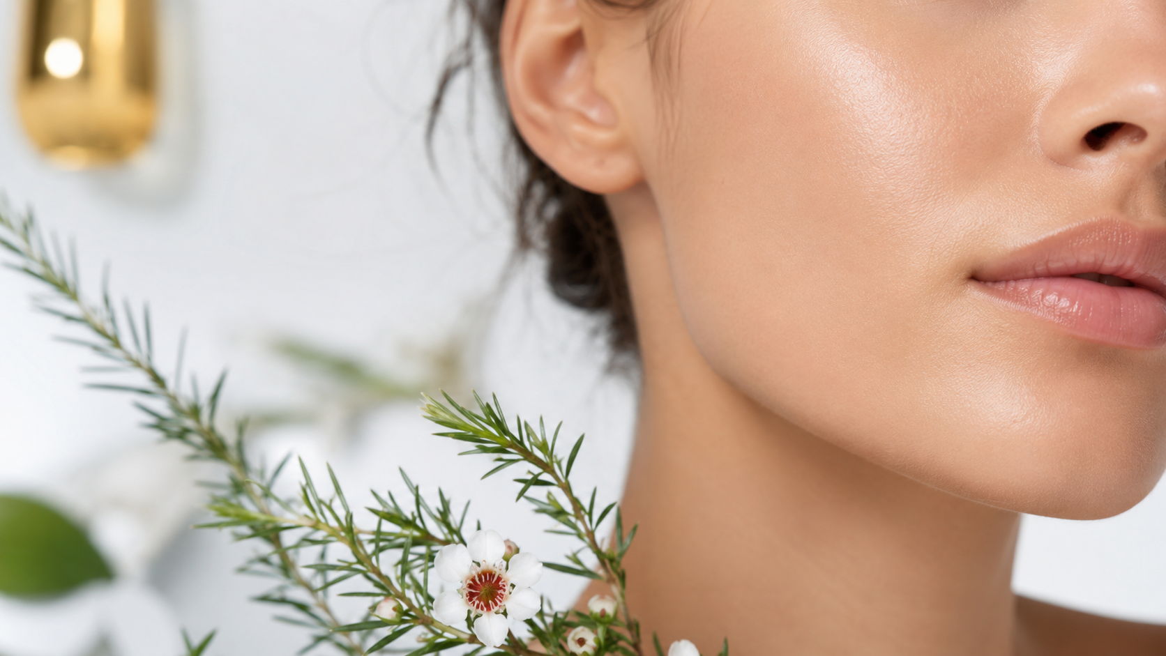 น้ำมันหอมระเหยมานูก้า อุดมเบต้า-ไตรคีโตน (Manuka Essential Oil) น้ำมันหอมระเหยมานูก้า อุดมเบต้า-ไตรคีโตน (Manuka Essential Oil)