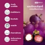ALPHA-PURE XANTHONE - 02