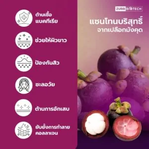 ALPHA-PURE XANTHONE - 02