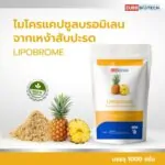 LIPOBROME - 02
