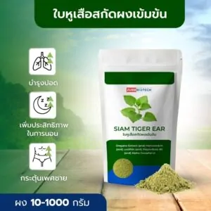 SIAM TIGER EAR - 03