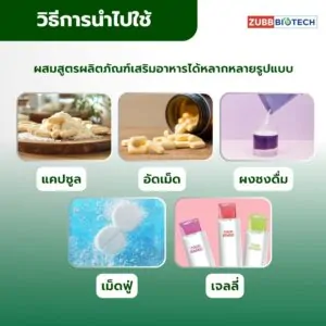 SIAM TIGER EAR - 08