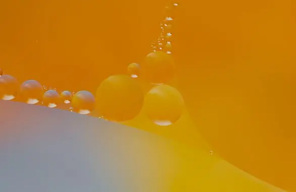 ผสมผสาน