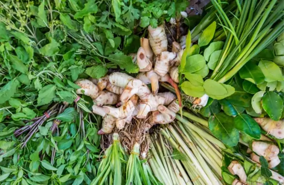 สมุนไพร