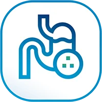 ช่วยย่อยอาหาร