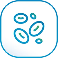 ลดคอเลสเตอรอลออกซิไดซ์