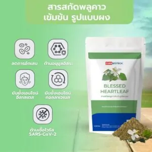 BLESSED HEARTLEAF