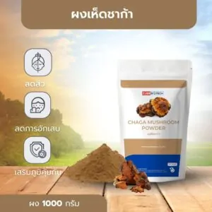 Chaga Mushroom Powder - 02