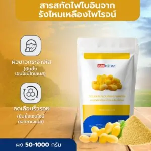 GOLDEN FLOURISH FIBROIN - 02