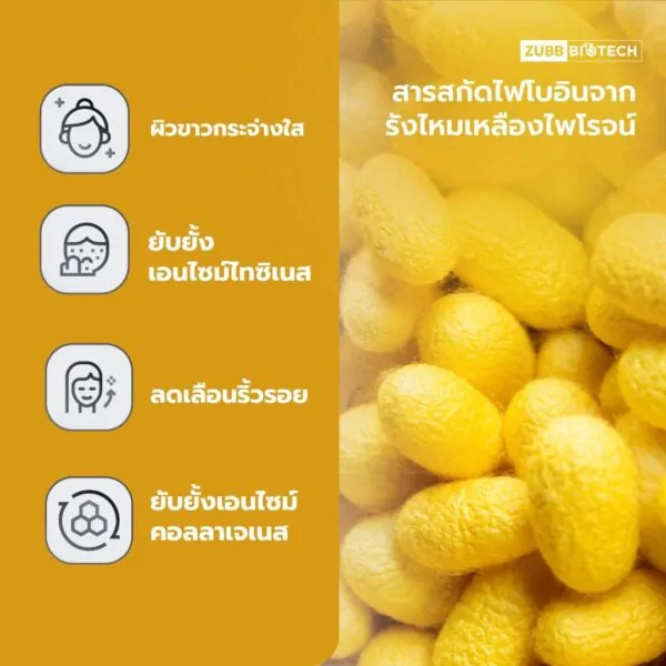 GOLDEN FLOURISH FIBROIN - 03