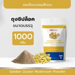 Golden Oyster Mushroom Powder - 12