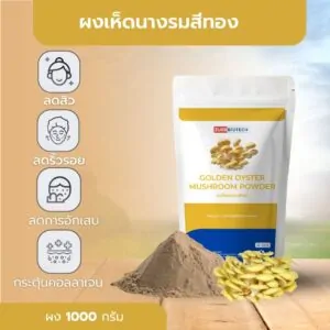 Golden Oyster Mushroom Powder